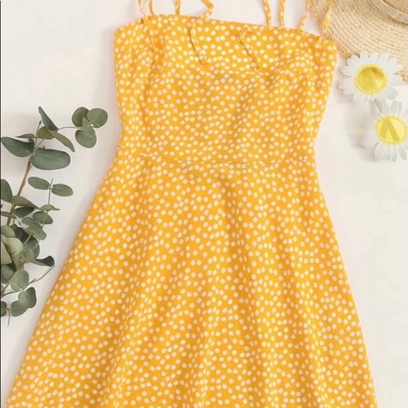 Clothes - Picture 2 of 16